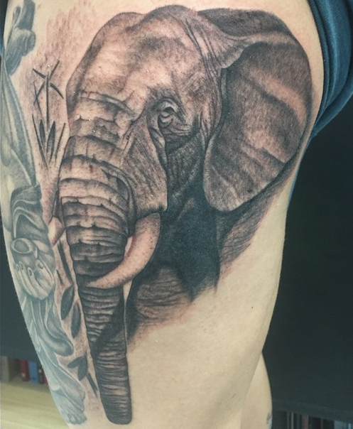 Elephant by Leon